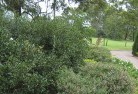 Keilor Downsresidential-landscaping-35.jpg; ?>